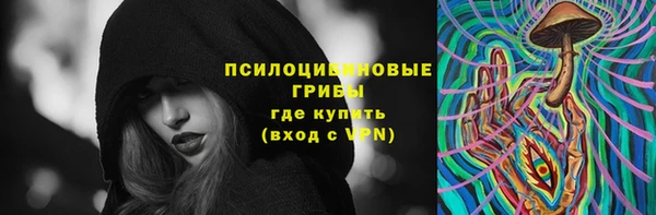 гашик Арсеньев