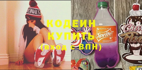гашик Арсеньев