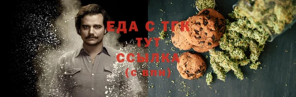 гашик Арсеньев
