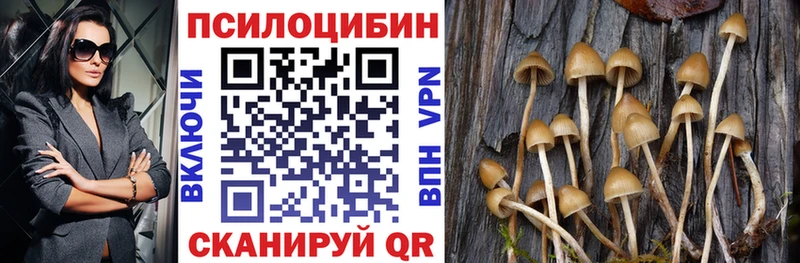 Галлюциногенные грибы прущие грибы  Киселёвск 