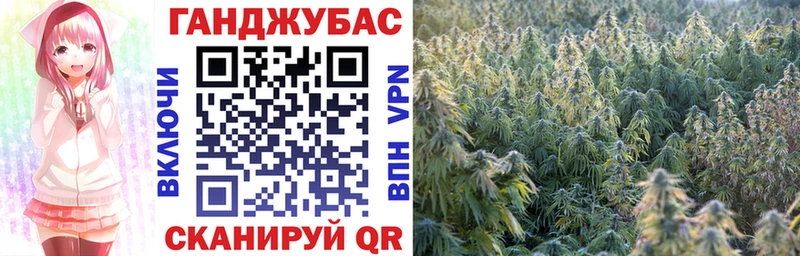 МЕГА маркетплейс  продажа наркотиков  Киселёвск  Конопля Ganja 